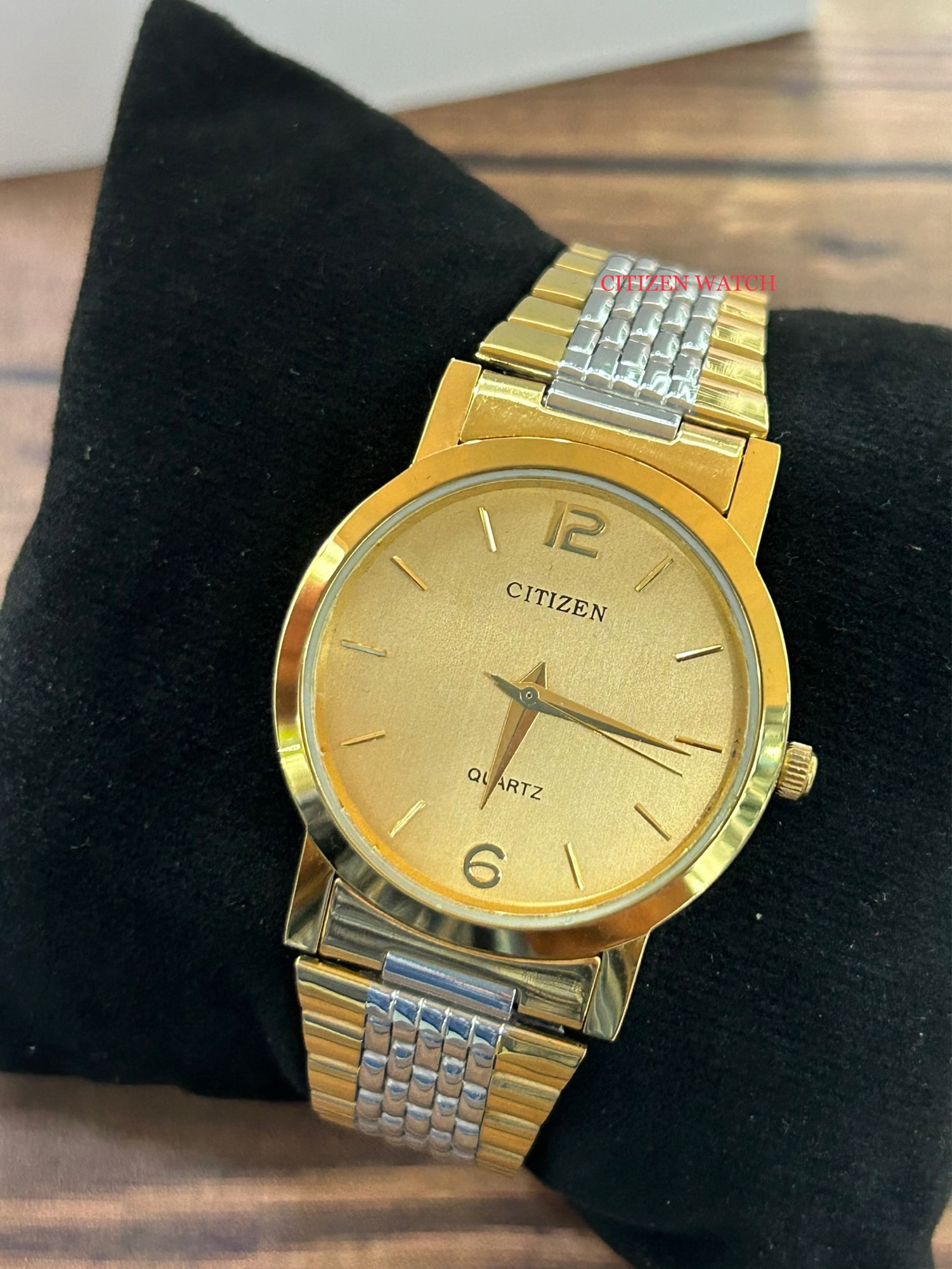 Men’s Casual Citizen Brand TowTown Watch